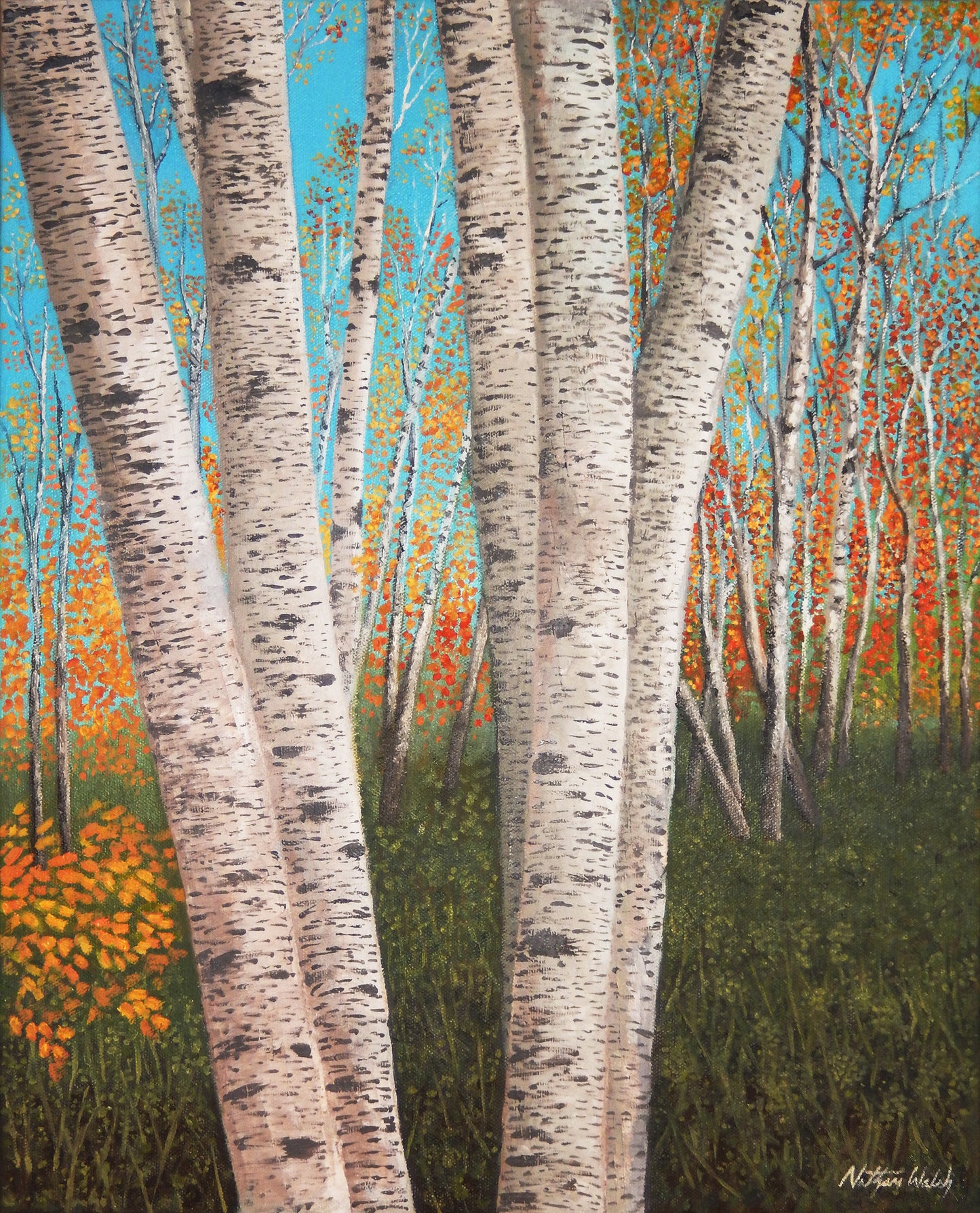 Birch Trees